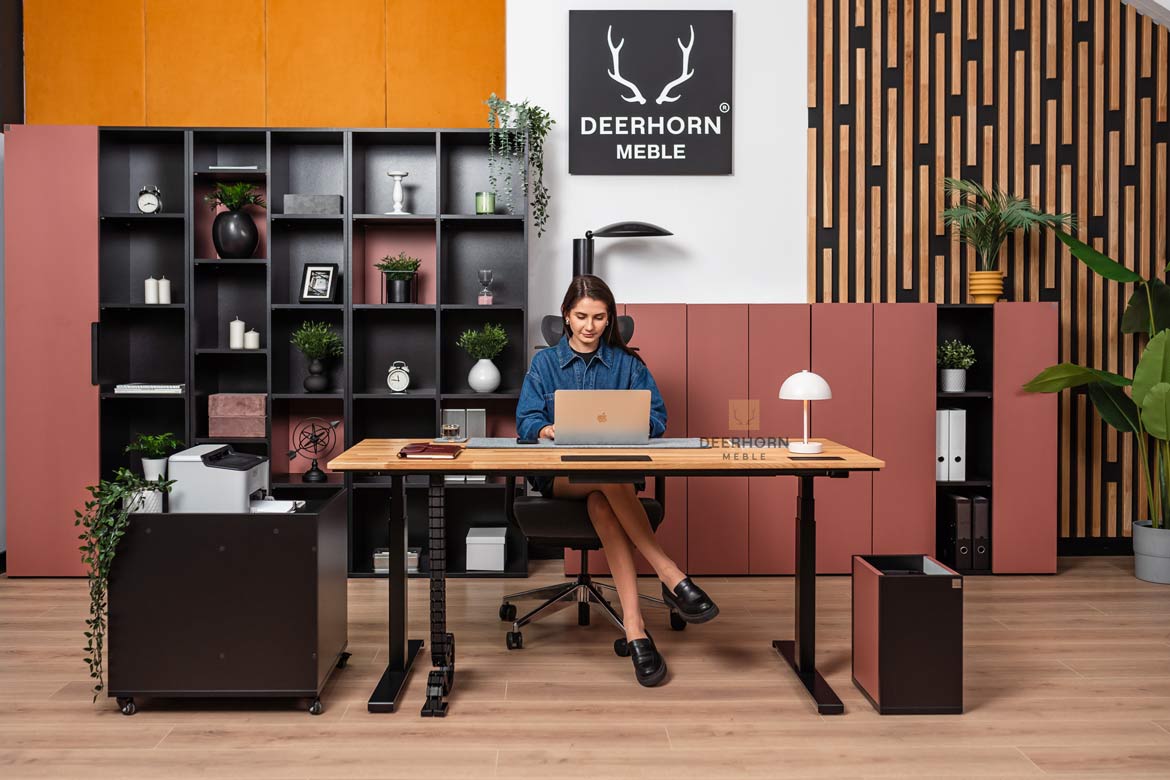 biurko-z-szafka-na-komputer-i-drukarke biurko z szafką na komputer i drukarkę