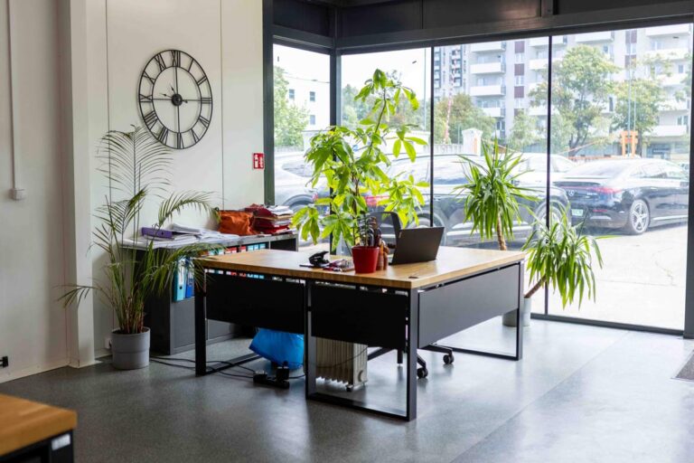 Study and office with large glazing and Deerhorn furniture