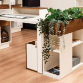 modern flowerbed for the office