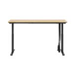 Corporate adjustable desk