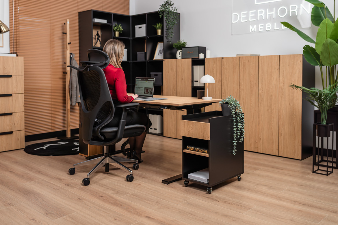 electric-desk-to-office electric desk for office