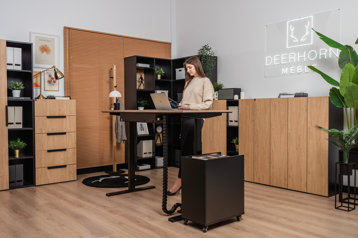 sit-stand desk stand-up desk