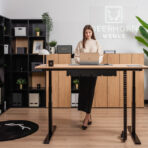 desk with standing ability