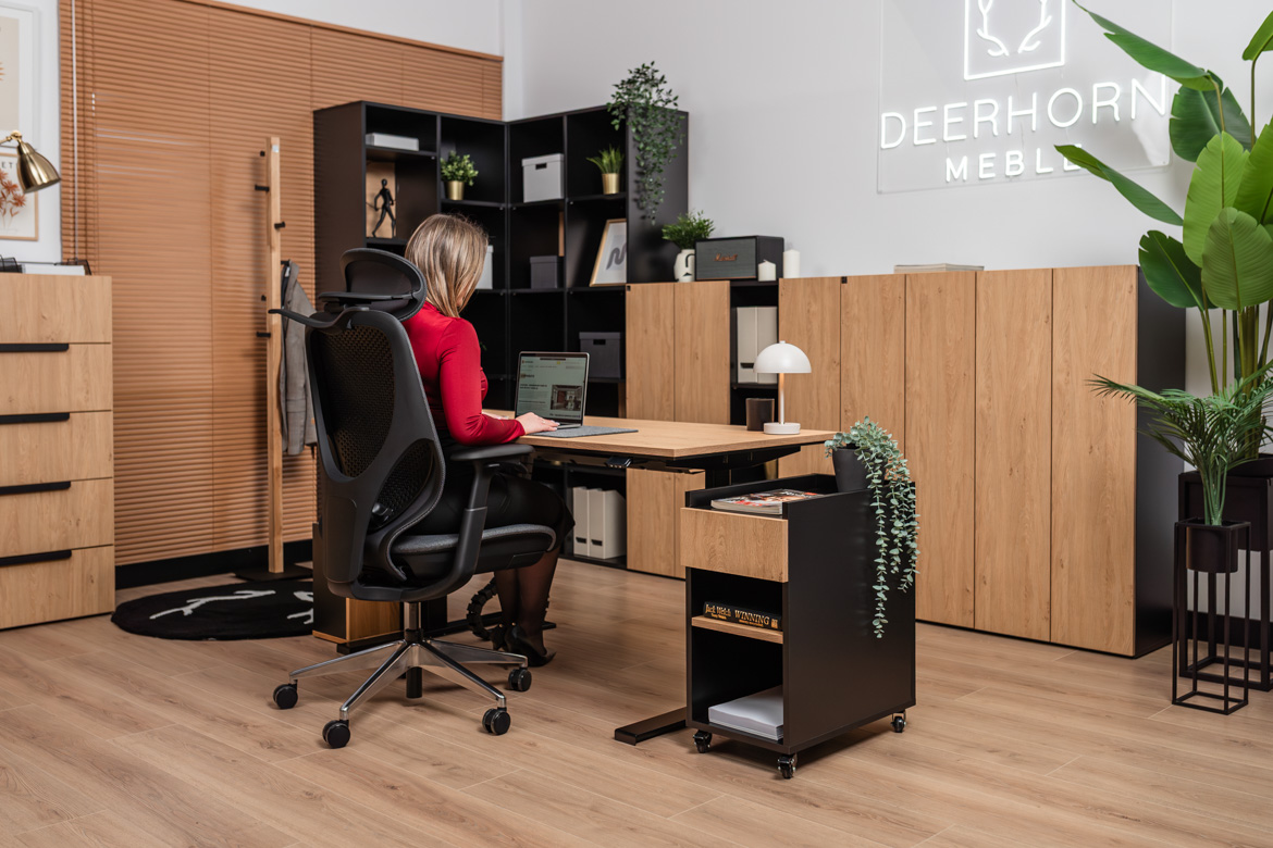 capacious-furniture-na-akta capacious furniture for files