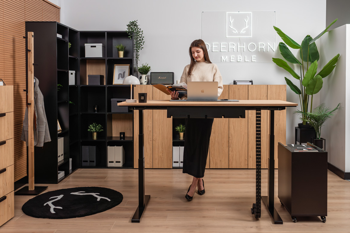 professional-furniture-to-work professional work furniture