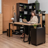 functional work desk with container