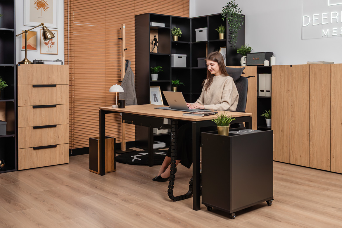 functional-work desk-with-container functional work desk with container