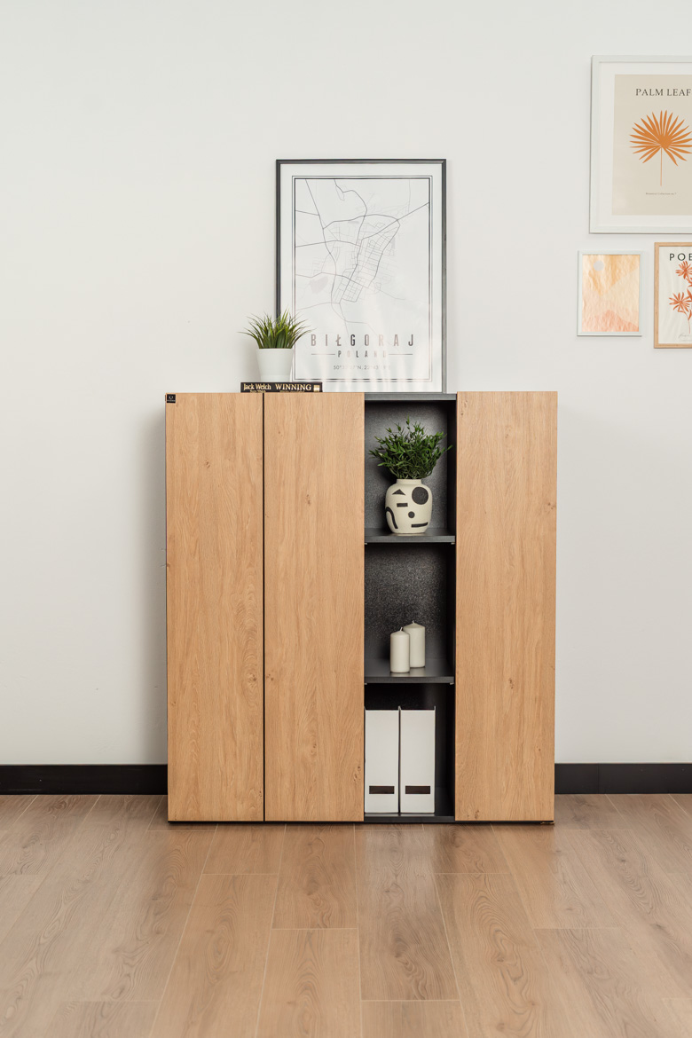 dresser-to-office-in-modern-style dresser for office in modern style