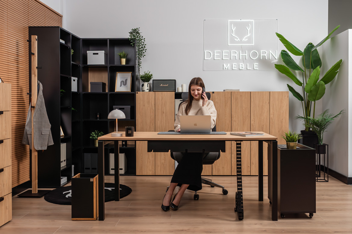 furniture-working-office office furniture