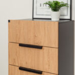 capacious storage chest