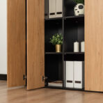 office cabinet with elegant finish for the office