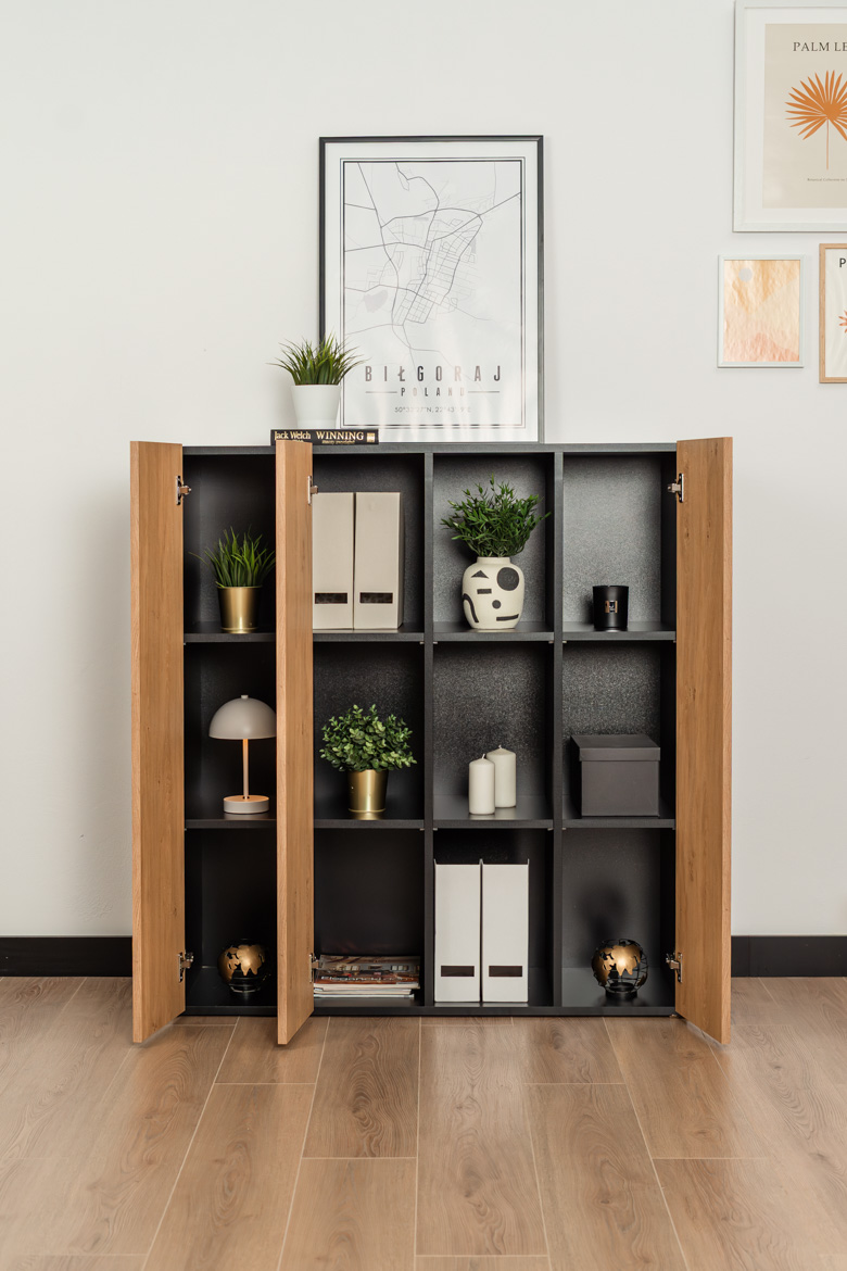 office-cabinet-with-polks-for-segregators office cabinet with shelves for binders