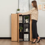 cabinet with shelves and doors for office