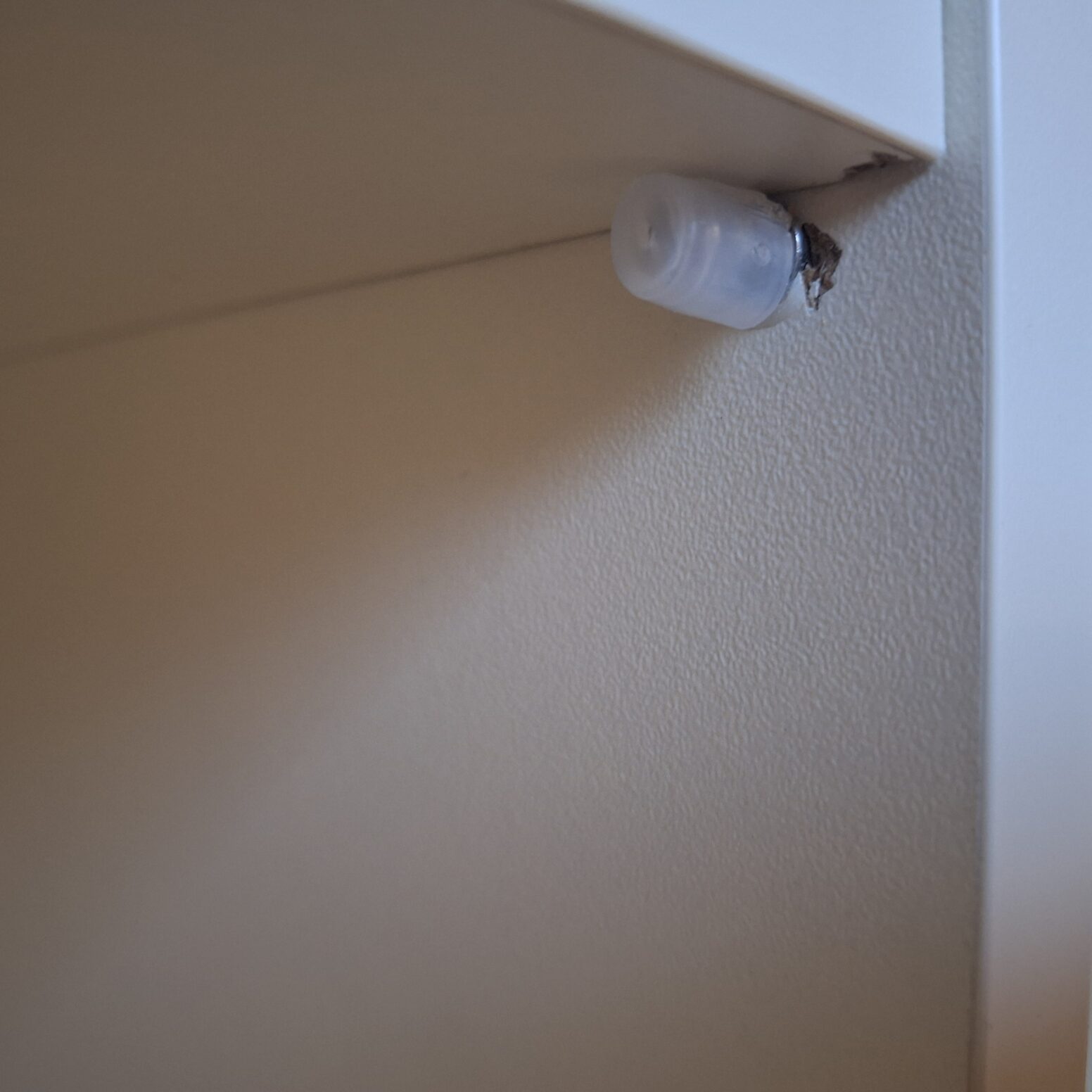 1000046384 1000046384