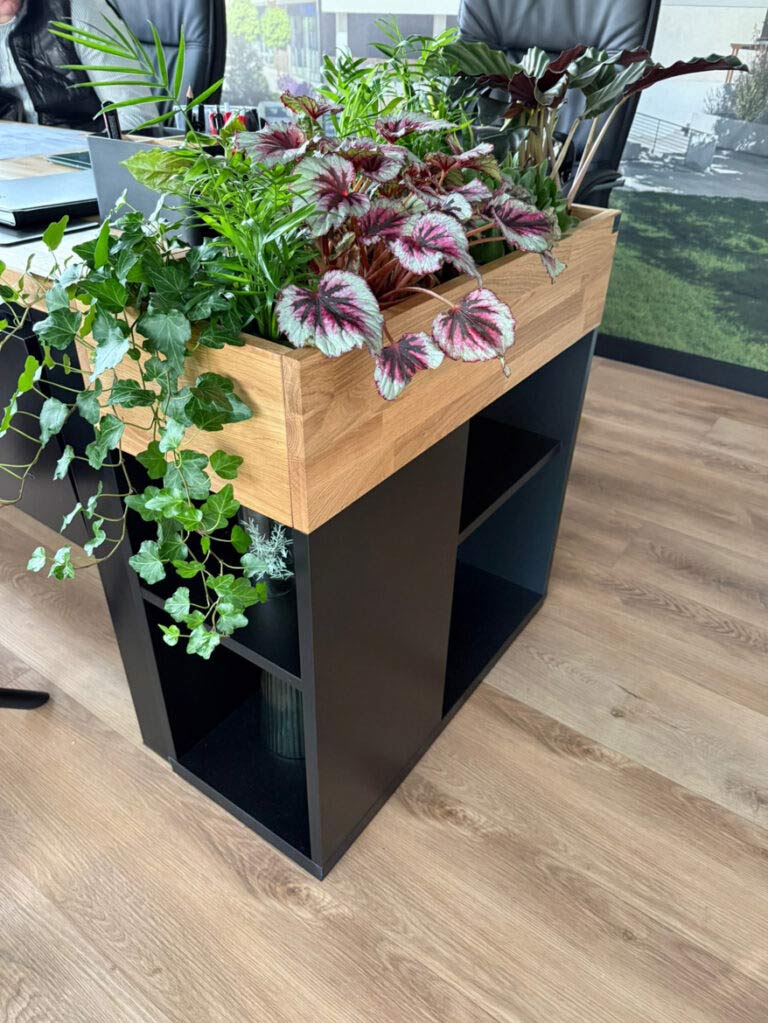 Office florist for Mr. Rafal from the real estate industry from Lublin