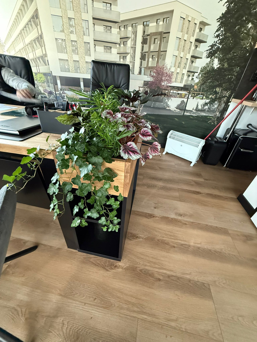 Kwietnik biurowy dla Pana Rafała z branży nieruchomości z Lublina