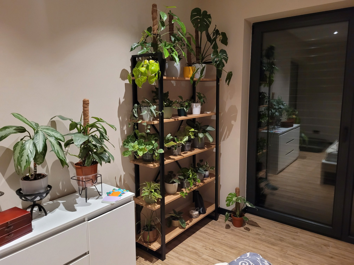 Plant rack with five shelves for the office of an insurance advisor in Biała Podlaska