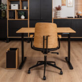 Affordable Ergonomic Desk from the Office