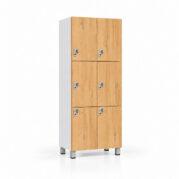 Gym locker with a padlock