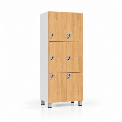 Gym locker with a padlock